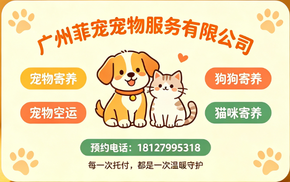 广州菲宠梅州线上分站